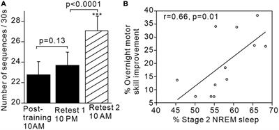 Role of cerebellum in sleep-dependent memory processes